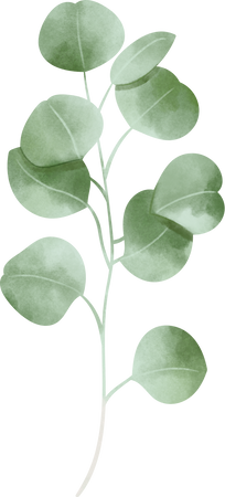 Rustic Watercolor Eucalyptus Leaf