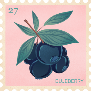 Vintage Flowers & Insects Postage Stamps Blueberries